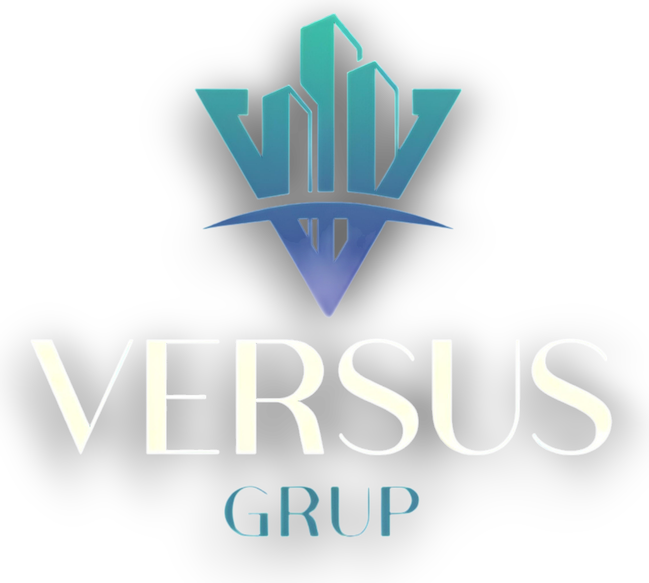 Versus Grup Yapı